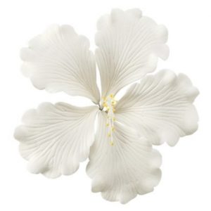 Gumpaste Hibiscus White Flower