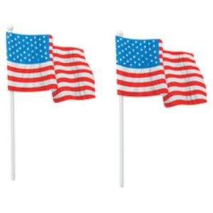 American Paper Flag 12 Pcs