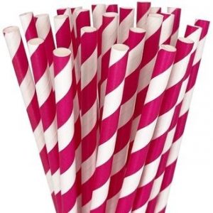 Hot Pink Paper Straws 25 count