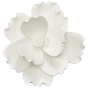 Magnolia Flower White