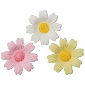 Daisies Assorted Gm Flowers