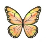 Sprinkle Pop Yellow Butterfly 12-SP6951022