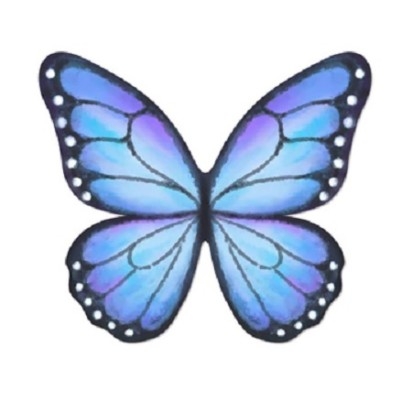 Blue Wafer Butterflies