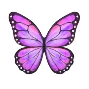 Pink Wafer Butterflies