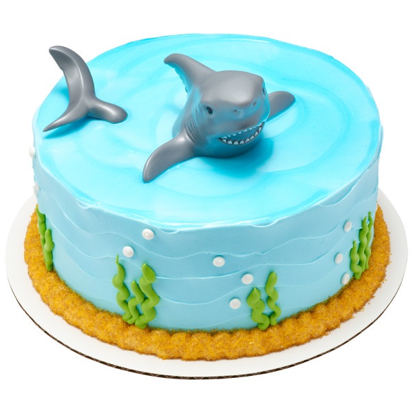 Shark Creations Cake Kit