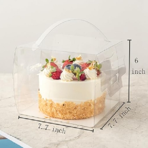 Amazon.com: XININSUN 2Pcs Large Cake PET Clear Box, 10