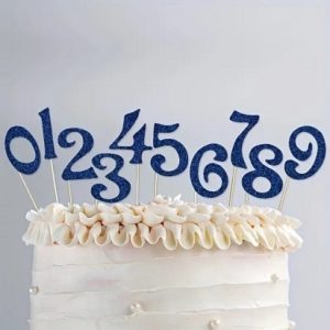 Cake Topper Blue Numbers 0-9