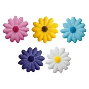 Daisies Assortment Flowers 12 Pieces