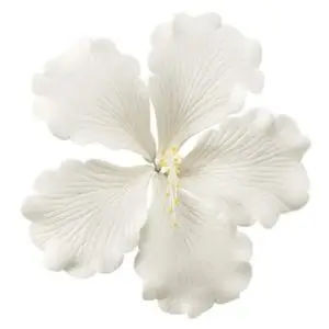 Hibiscus White Gumpaste Flowers