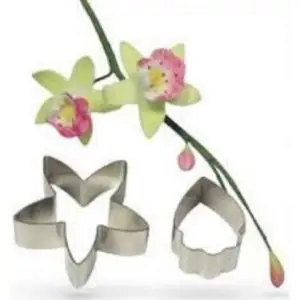 Cymbidium Orchid Medium Cutter Set of 2