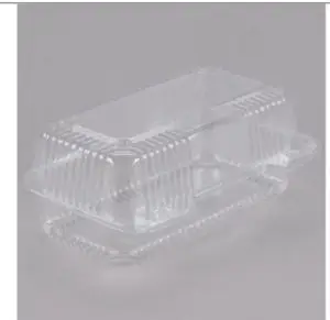 Clear Hinged Plastic 9" x 5 3/8" x 3 1/2 inches