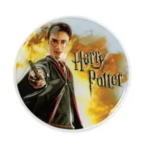 Harry Potter Plastic Cake Topper