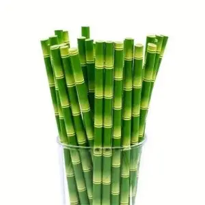 Green Bamboo Paper Straw 25 Pieces