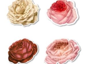 Roses Edible Cupcake Topper
