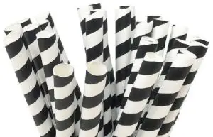 Black and White Striped Paper Straws 25 Count