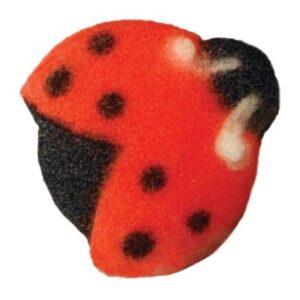 Sugar Lady Bug 12 Pieces