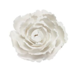 White Peony Gumpaste Flowers 4 inches
