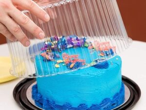 Plastic 10 in Cake Dome 2 to 3 layers
