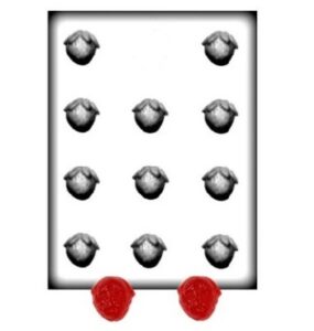 Strawberry Chocolate Mold 11 Cavity