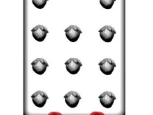 Strawberry Chocolate Mold 11 Cavity