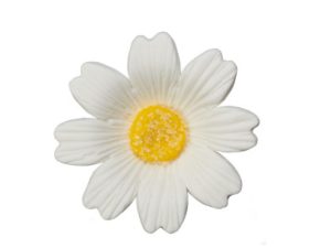 White Daisies Gum Paste Flower