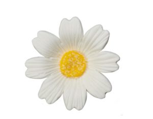 White Daisies Gum Paste Flower