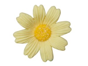 Yellow Daisies Gum Paste Flower