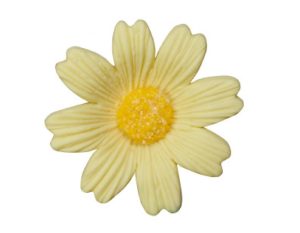 Yellow Daisies Gum Paste Flower