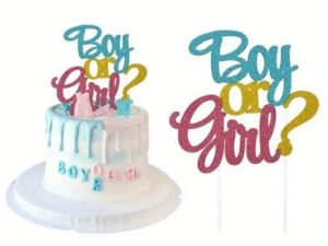Cake Topper " Boy Or Girl?"