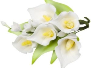 White Gum paste Calla Lily